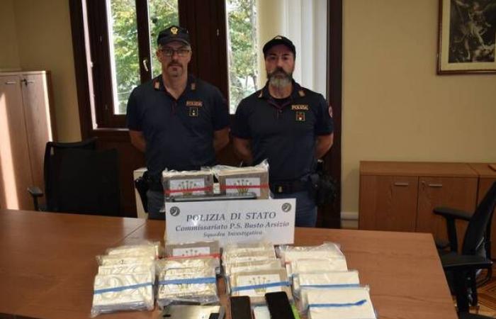 Kilos y kilos de droga vendidos en toda Lombardía, la policía de Busto Arsizio desarticula dos grupos de narcotraficantes