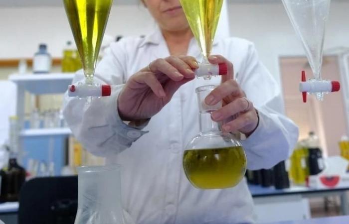 ¿Aceite de orujo de oliva? Una alternativa saludable a la margarina para la industria de la confitería