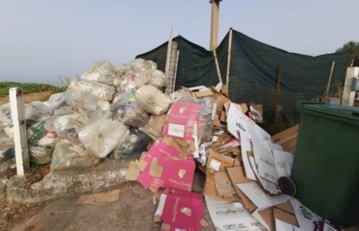 Salerno. Eliminación de residuos de playas y navegantes, controles y sanciones por parte de la Policía Municipal