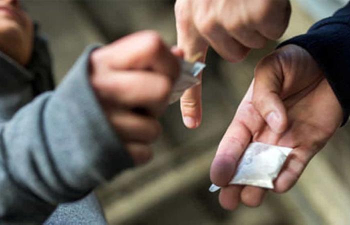 INFORME 2024. En Italia cuatro de cada 10 estudiantes consumen drogas: los datos sobre menores son preocupantes