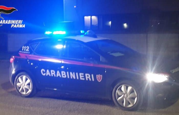 Detenido en Parma el presunto autor de un intento de asesinato cometido en Bérgamo, de 29 años –