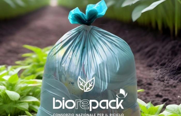 Cómo reciclar mejor los bioplásticos, Messina Servizi gana la licitación y lanza una campaña