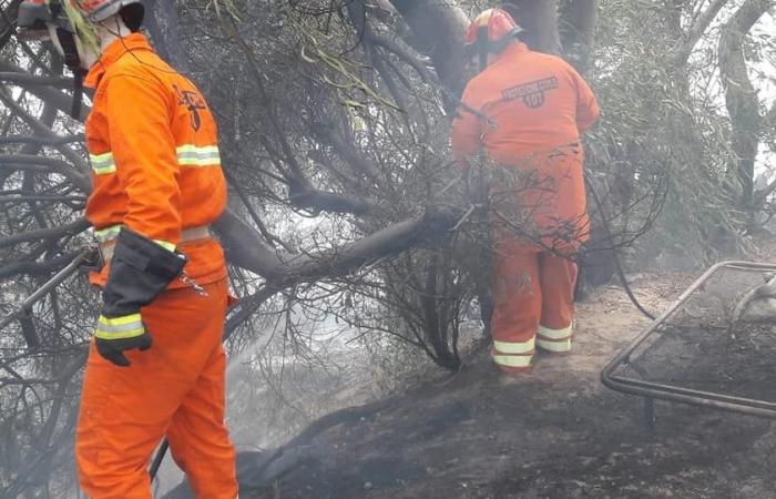 El incendio en el barrio de Giardinello en Comiso ha sido extinguido. Salvar los sistemas de agua de Vittoria y Gela