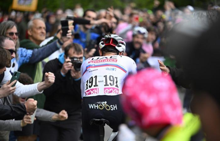 Tour de Francia 2024, Marc Madiot solo ve un favorito: “La carrera se decide después de 3-4 días, Pogacar hará explotar a todos inmediatamente”