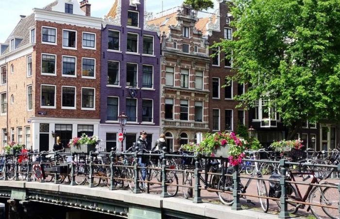 ¿Están subiendo los precios de la vivienda? En los Países Bajos, el gobierno de derecha amplía los alquileres sociales