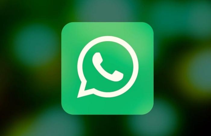 Whatsapp se actualiza, la noticia que enloquecerá a los usuarios: hacer fotos y hacer videollamadas será divertido