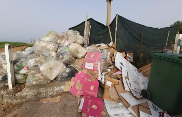Lucha contra la degradación en Salerno, control de la eliminación de residuos en las playas y en los navegantes