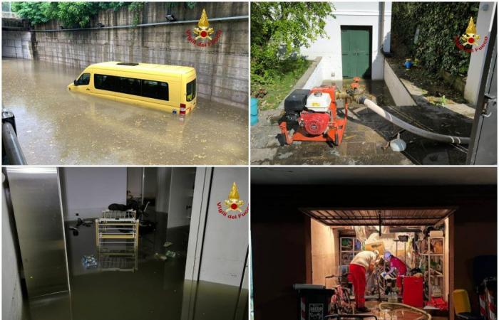 Mal tiempo en Rovigo, casas y calles inundadas: más de 200 peticiones de ayuda. Zaia: “Declarado el estado de emergencia”