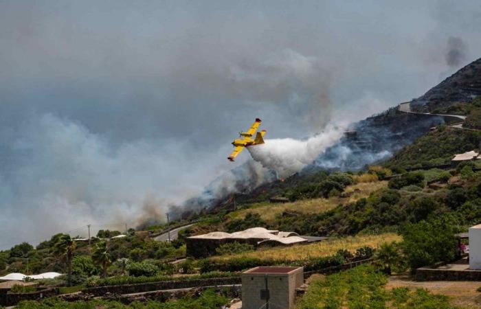Dramáticos incendios en Sicilia: en los primeros seis meses de 2024 ya 1288 incendios (509 en 2023)
