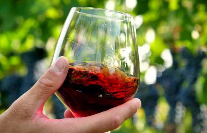Región, los vinos del Lacio son protagonistas en el 42º Foro de la Cultura del Vino
