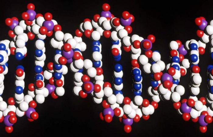 Descubren nueva técnica para reprogramar el ADN