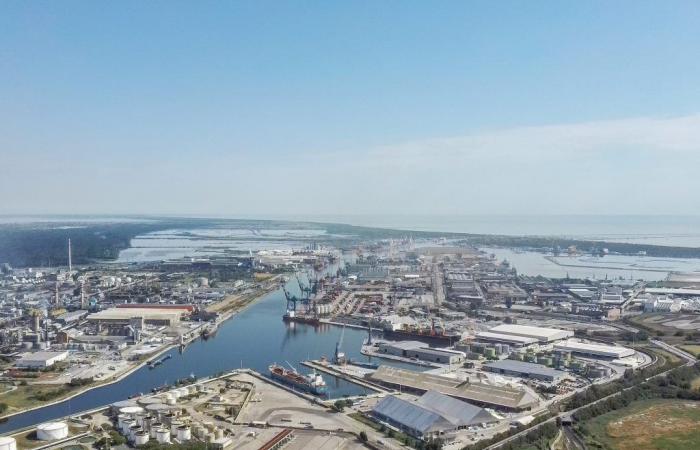 Vehículos más ecológicos en los muelles, el puerto de Rávena destina 4 millones de euros