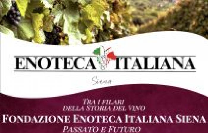 Vino, la Fondazione Enoteca Italiana Siena se presenta oficialmente en Roma