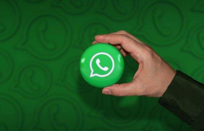 WhatsApp: Respuestas rápidas a vídeos y llamadas a números no guardados