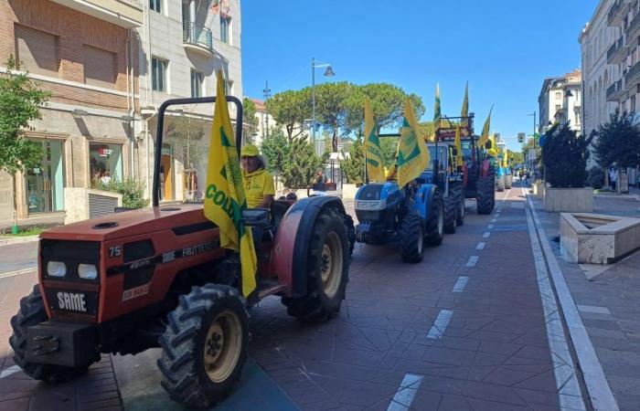 Jabalíes: tractores y agricultores en la procesión de Coldiretti en Pescara