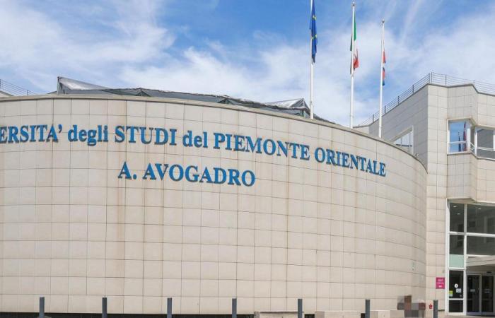 Alessandria, los primeros médicos graduados en historia de la ciudad: “Es un punto de inflexión que hace época”