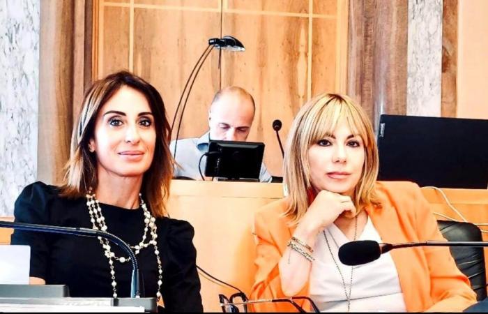 el Ayuntamiento de Latina confía la tarea a Romagnoli, Femia y Ranieri