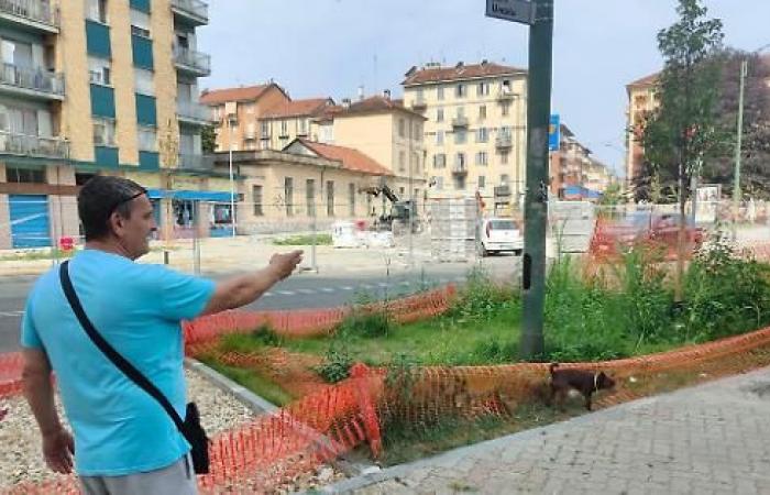 Llamamiento de Corso Umbria: árboles más grandes contra las altas temperaturas – Turin News