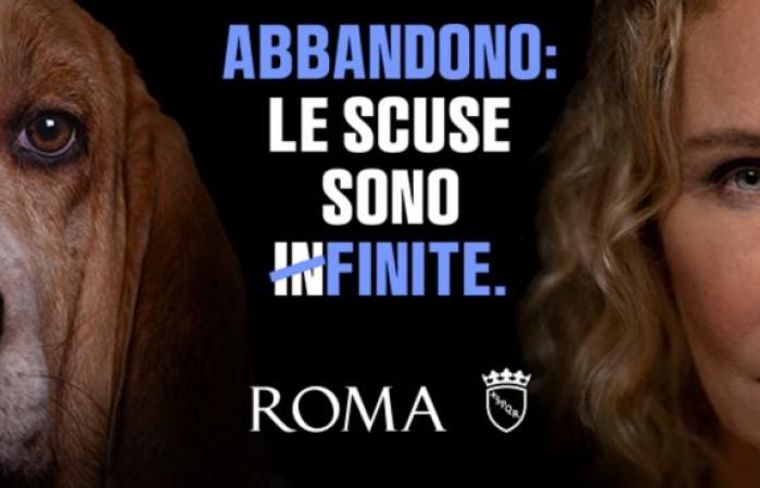 “No más excusas”: comienza en Roma la campaña contra el abandono de animales
