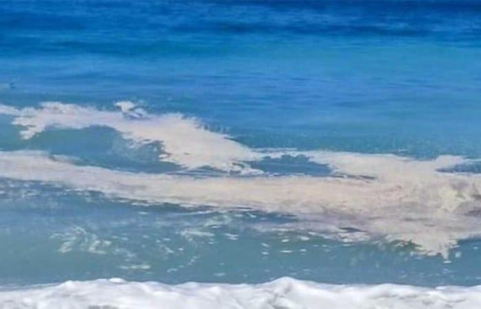 Mar sucio y playas ruinosas en Salerno y Avella: “El municipio y la oficina portuaria intervienen”