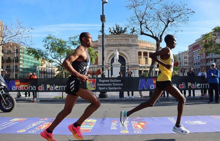 Palermo: Consejo aprueba apoyo a eventos deportivos. La lista… – Sicilia Running | corriendo en Sicilia… y más allá