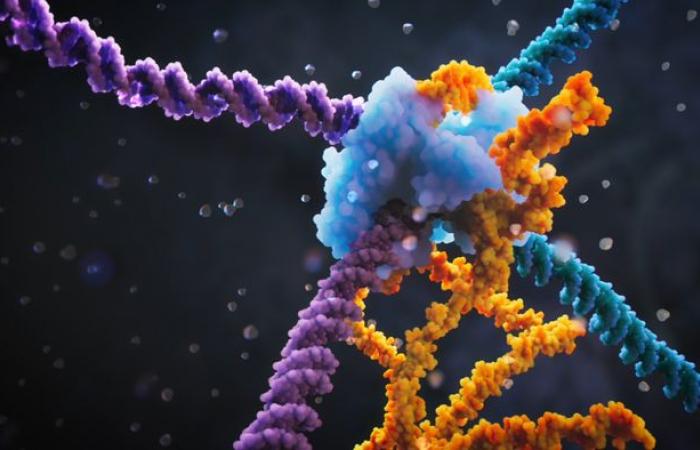 No tijeras sino bypass, es más fácil reprogramar el ADN – Biotech