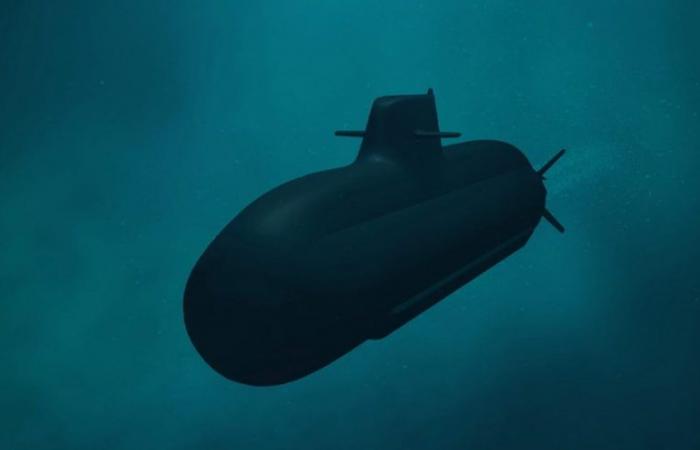 Nuevo pedido de 500 millones a Fincantieri por un submarino