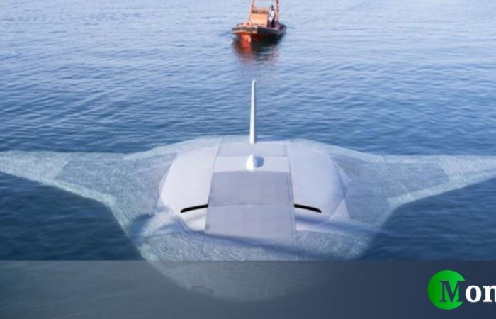 Manta Ray, el dron acuático secreto fue fotografiado por Google Maps. Esto es para qué sirve