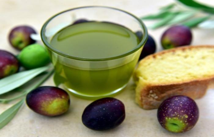 Maestrod’olio 2024: los mejores aceites de oliva virgen extra artesanales de la nueva campaña oleícola