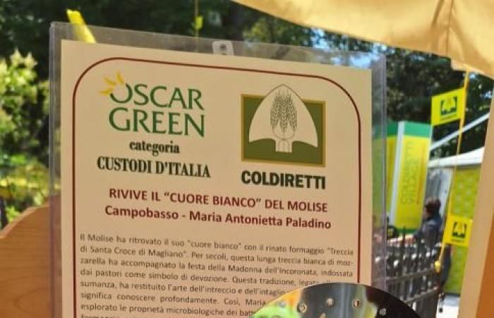 “Oscar Green Coldiretti”, Molise conquista el podio