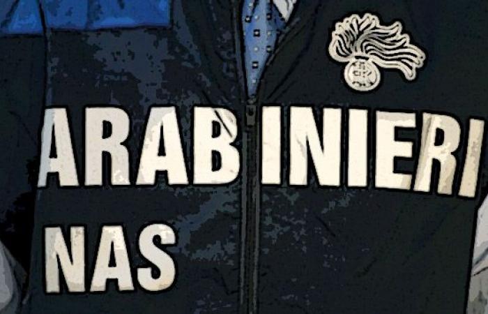 Dopaje, los carabinieri de Nas Trento descubren tráfico de anabólicos, siete detenidos
