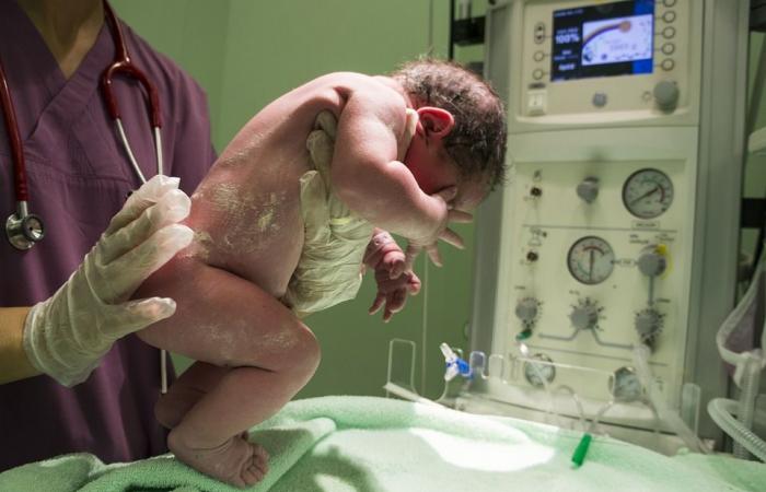 Inauguración del Área Intensiva para Recién Nacidos y Niños del Hospital de Perugia