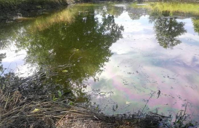 Un tanque de aceite usado enterrado cede, agua contaminada al sur de Rennes