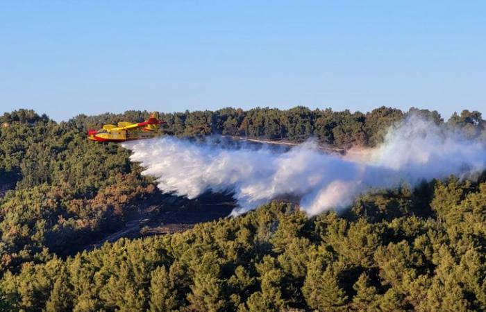 En dos días más de 600 hectáreas arden – Telesveva Notizie