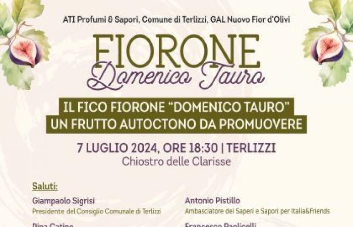 Conferencia sobre Fiorone “Domenico Tauro”, fruta autóctona a promocionar. Con los miembros del Club UNESCO de Bisceglie – Terlizzi, 7 de julio de 2024. 18.30 horas Chiostro delle Clarisse