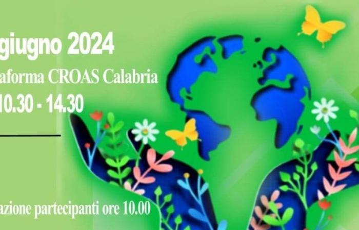 Día Mundial del Trabajo Social: compromiso de Croas Calabria