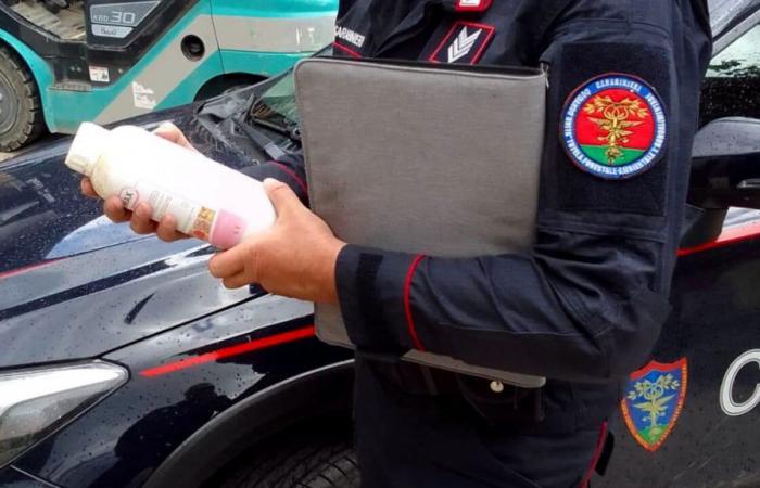resultados de los controles realizados por el Grupo de Carabinieri Forestales de Avellino y la Autoridad Sanitaria Local