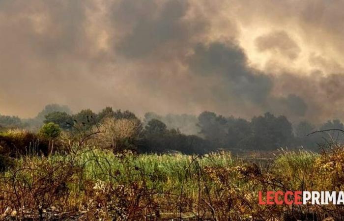 Un gran incendio amenaza la reserva natural de Cesine, envió un Canadair