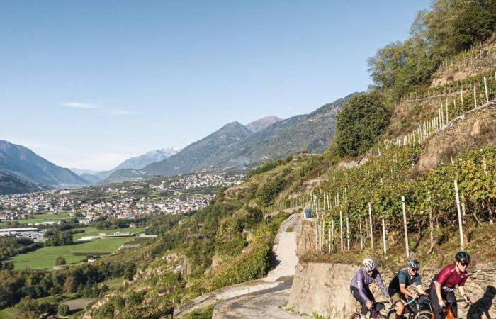 En bicicleta por caminos rurales, un recorrido entre cumbres y viñedos para descubrir la Valtellina media y baja