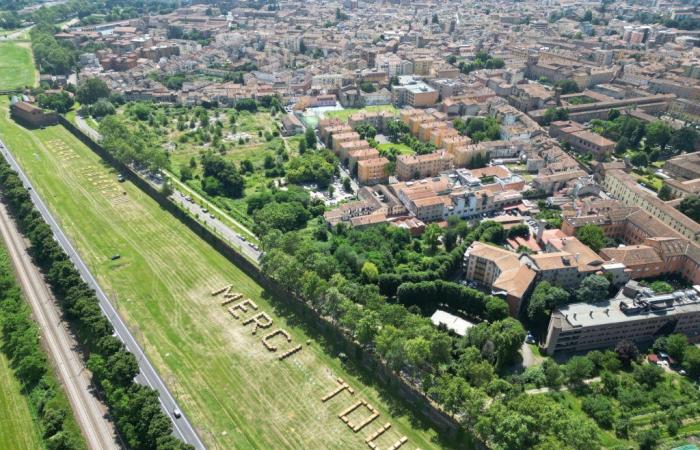 Tour de Francia, Bonaccini: “Consagración del Valle del Deporte de Emilia-Romaña”