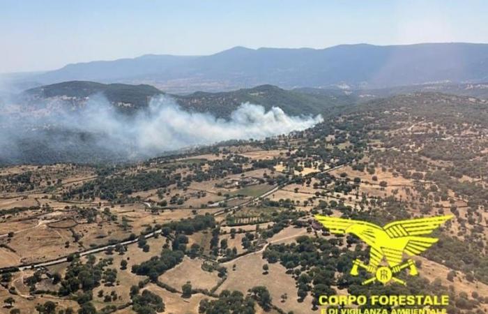 Hoy 13 incendios en Cerdeña: helicópteros en Nuoro, Osidda y Nurri | Noticias