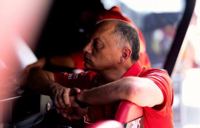 F1. Ferrari, Vasseur: “Si ayer hubiéramos marcado la buena vuelta en la clasificación, habrías dicho eso – Fórmula 1