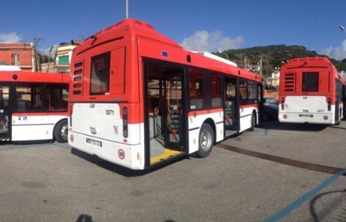 Via Acton, restauración de la línea de autobús Mare a partir de mañana: aquí están los horarios y rutas