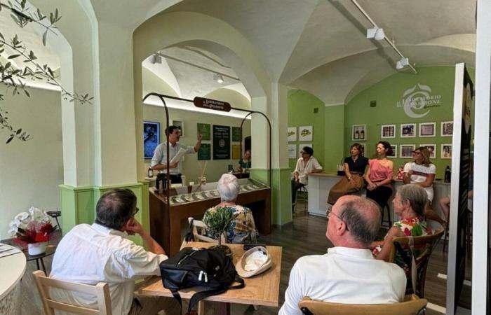 En el “Laboratorio de la Pasión” de Spoleto, el viaje a la “cu/cultura” del aceite con el historiador enogastronómico Guido Farinelli abrió los eventos de la tienda temporal Costa d’Oro | Noticias de Dos Mundos