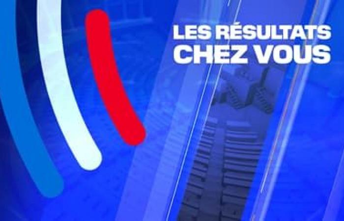 Roussel derrotado en la primera vuelta en la 20ª circunscripción del Norte, el candidato RN elegido