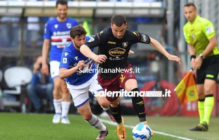 Bonazzoli en la puerta: Parma también le gusta – Salernitana News