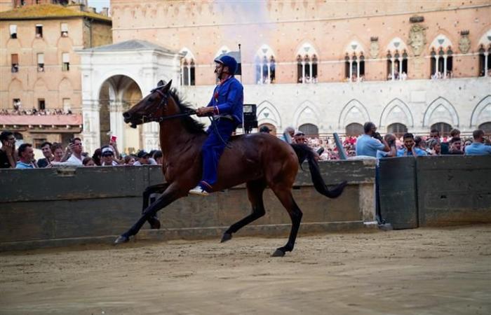 Siena: Palio 2 de julio, Nicchio gana la primera prueba – Centritalia News
