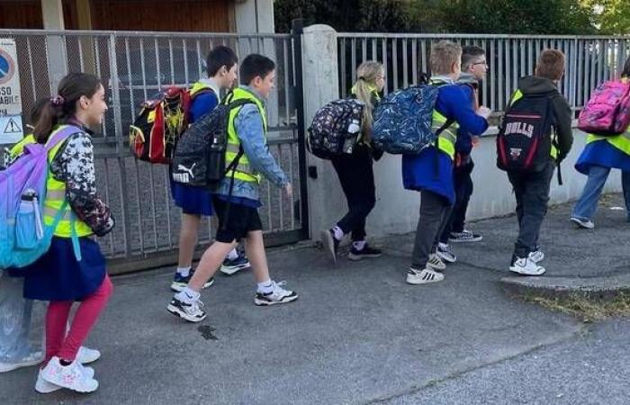 Las líneas de a pie de Cesena se van de vacaciones: 358 chicas y chicos están registrados y 19 líneas están activas actualmente en la ciudad