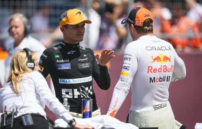 Verstappen, el vídeo de la locura y Norris solta: “Estúpido e incorrecto”