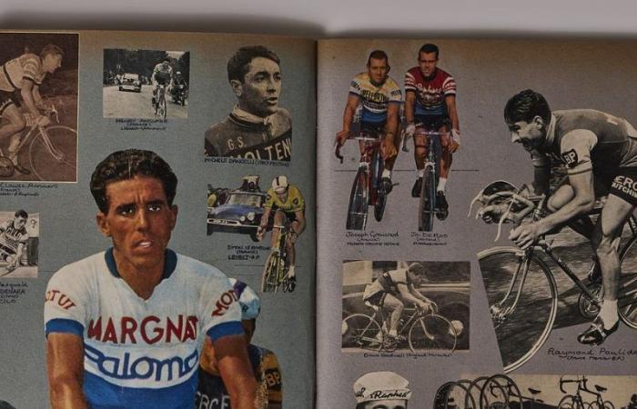 Becycle, la exposición ciclista de Paul Smith en Florencia: las fotos